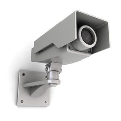 1558514680572663.jpg t01b075521adb7ce147.jpg